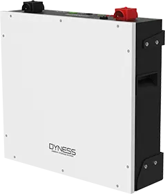 Dyness Battery - DL5.0C - 2